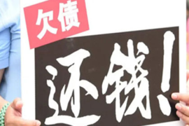 武汉收账公司：方舟进化私服账号获取攻略：揭秘热门游戏私服的神秘面纱